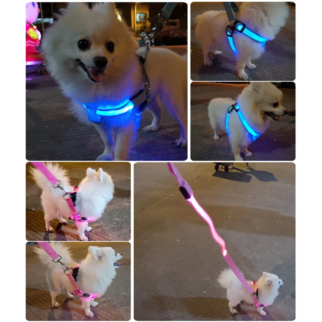 GlowSafe™ | LED Hundsele för Säkra Nattpromenader och Komfort