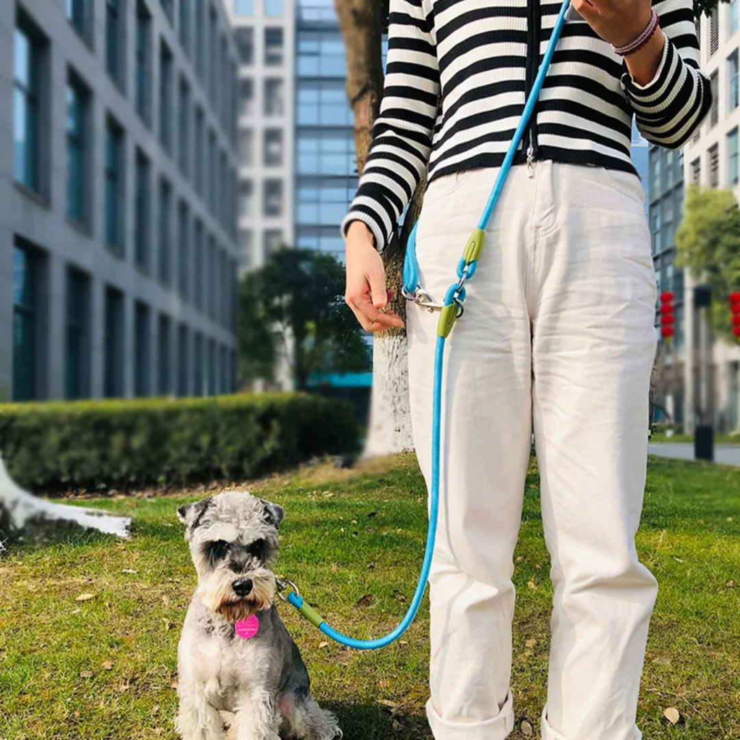 Handsfree-koppel™ | Reflekterande Nylon Koppel för Hundar – Frihet för Löpning och Promenader