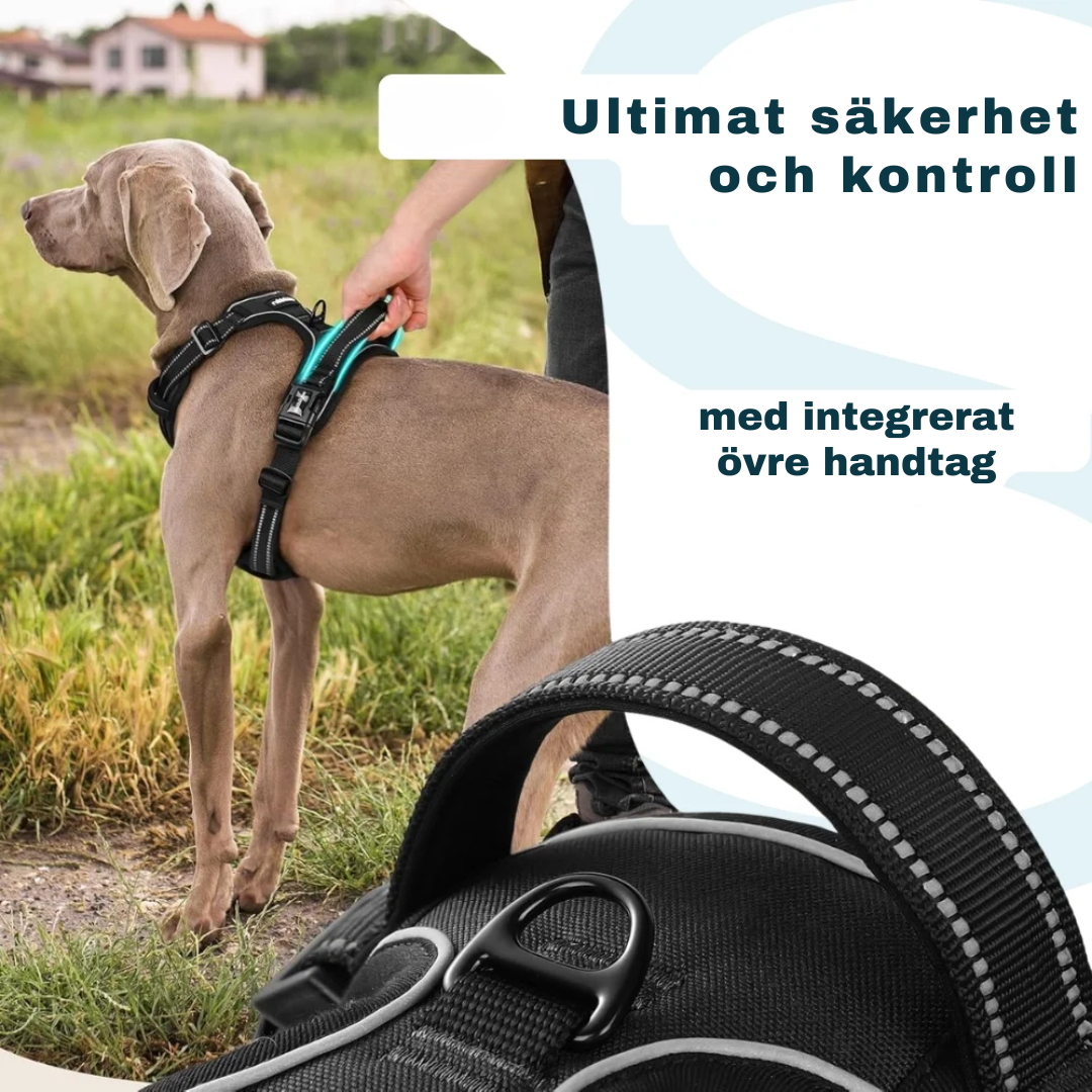 🐾 WalkEasy™ | Anti-Trek Hundsele