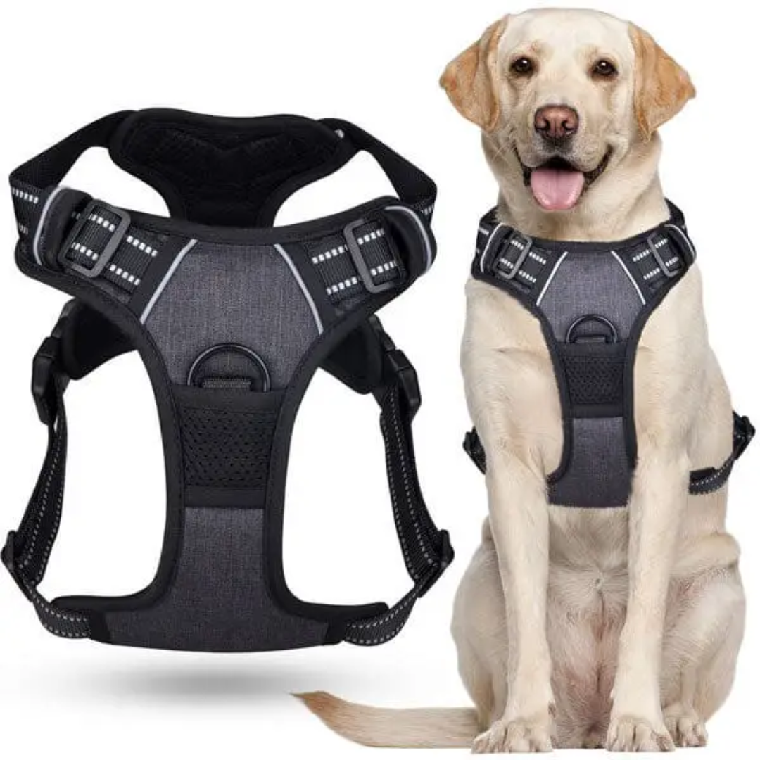 🐾 WalkEasy™ | Anti-Trek Hundsele