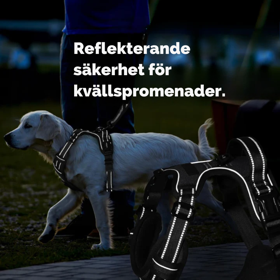 🐾 WalkEasy™ | Anti-Trek Hundsele