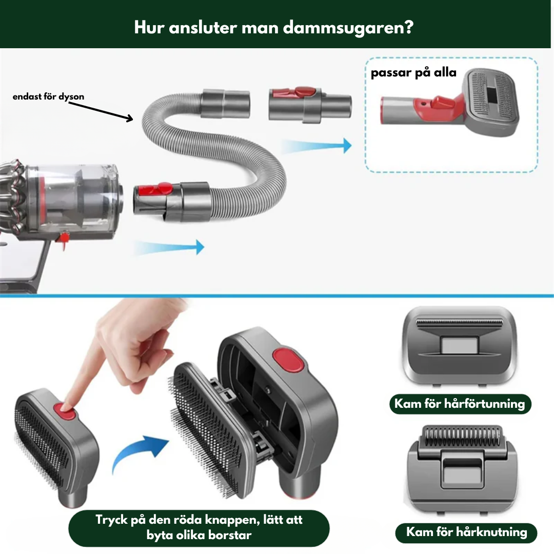 DammsugBorsten™ | Håll ditt hus rent och din hund glad! 🐾