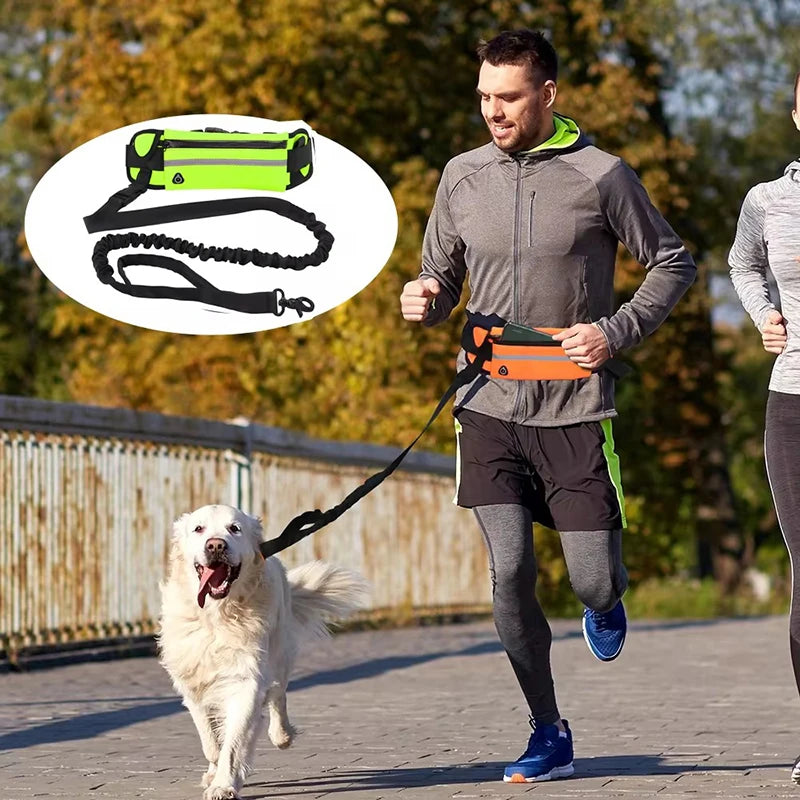 RunBuddy™ | Reflekterande Koppel med Midjebälte